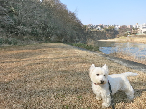 こんなに歩かせていいのかい?_c0260460_14013956.jpg