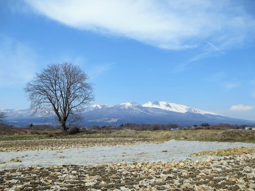 f0236260_13425179.jpg
