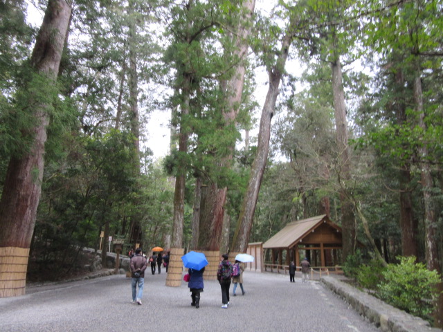 d0109373_29931.jpg