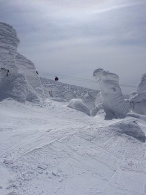樹氷が残っていますよー_b0185375_19193985.jpg