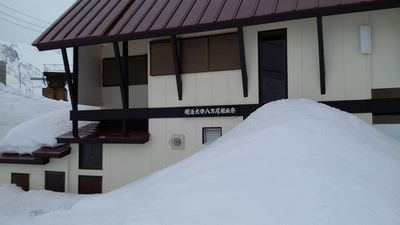 d0020180_9221590.jpg