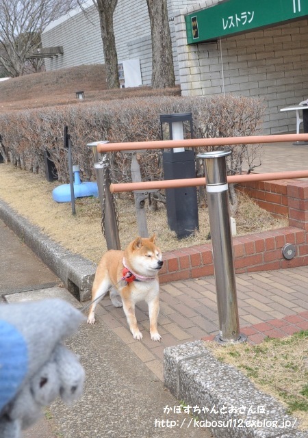 イヤイヤかぼちゃん_a0126590_23493238.jpg