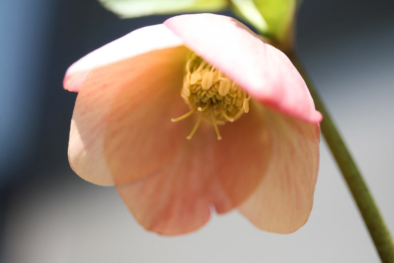 e0129991_15552851.jpg