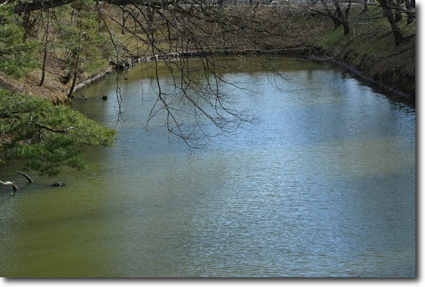 上田城跡公園・２０１５年３月_d0264892_101875.jpg