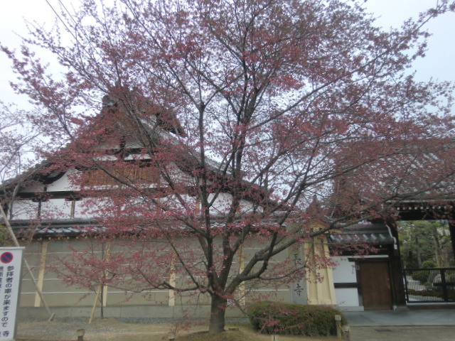 京都・高麗美術館「チャングムが生きた時代」を見る_b0044296_17412668.jpg