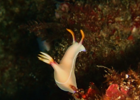 e0115199_14203970.jpg