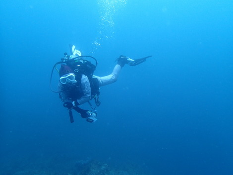 e0115199_14342201.jpg