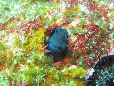 e0115199_14352623.jpg