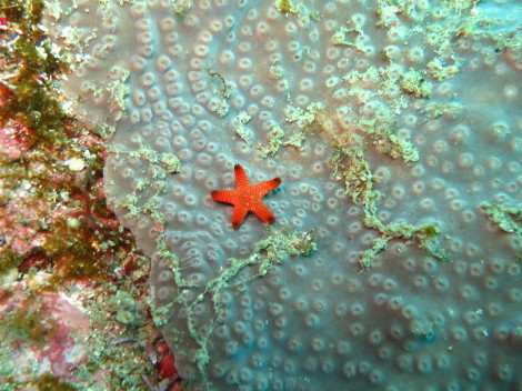 e0115199_14454084.jpg