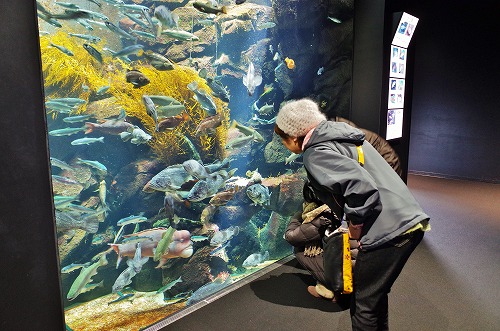 クラゲ水族館へ_c0336902_1937215.jpg