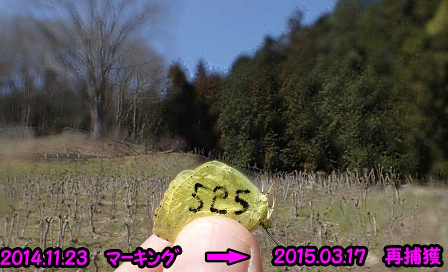 e0253104_23393799.jpg