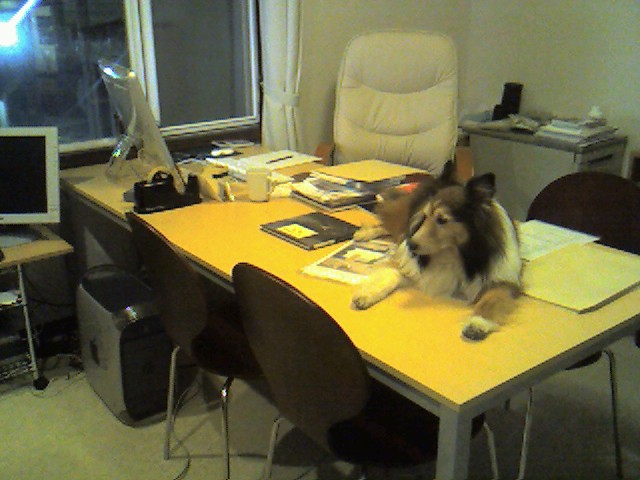 b0084506_1313339.jpg