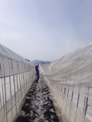 暖かくなってきました_d0099708_2049278.jpg