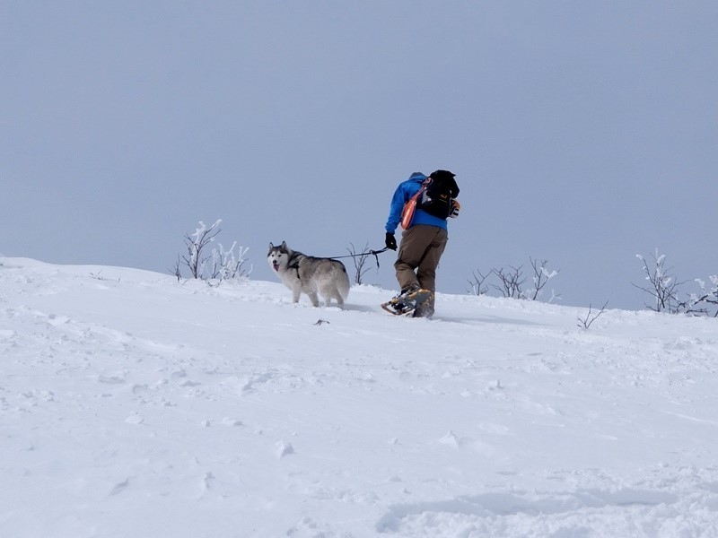 湯ノ丸山下山は尻ソリでぱぴゅーーーんと_b0207615_11244413.jpg