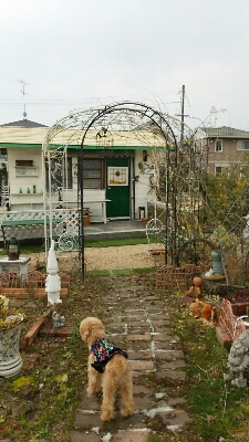 e0151420_19275095.jpg