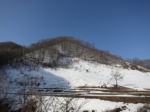 ポカポカ陽気の岩泉_b0206037_14283903.jpg