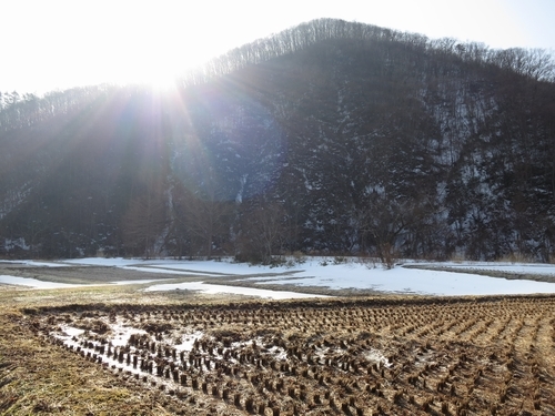 ポカポカ陽気の岩泉_b0206037_14283910.jpg