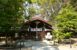 ここが御所どすえ 廬山寺と白雲神社へ_b0325640_16142160.jpg