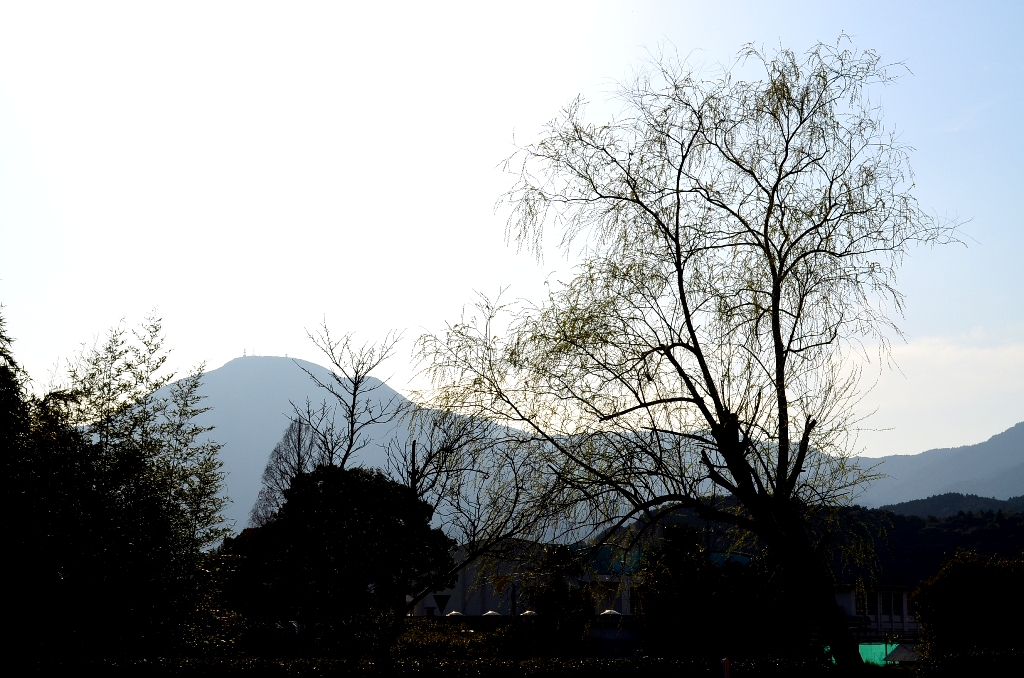 ”道の駅「蛍街道西ノ市」～蛍の湯”_d0153941_1915591.jpg