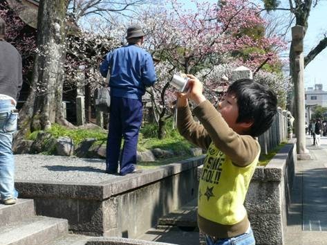 城南宮のしだれ桜_f0089748_21420218.jpg