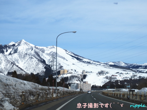 国境の長いトンネルを抜けると ひまわり畑より 国境の長いトンネルを抜けると ひまわり畑より