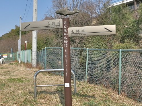 こんなに歩かせていいのかい?_c0260460_14561088.jpg