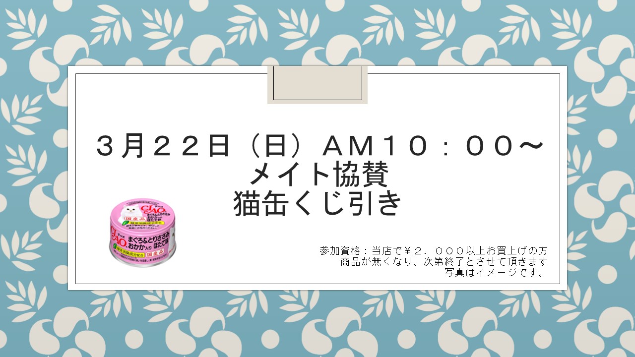 1503117 花金セール、イベント告知_e0181866_9145535.jpg