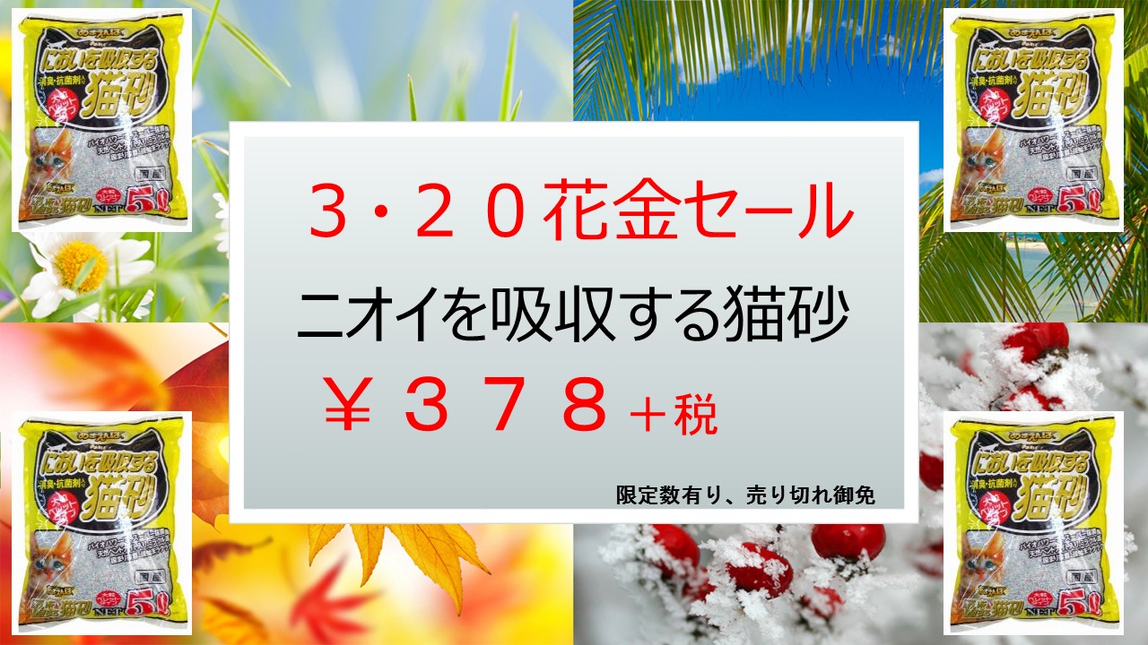1503117 花金セール、イベント告知_e0181866_99327.jpg