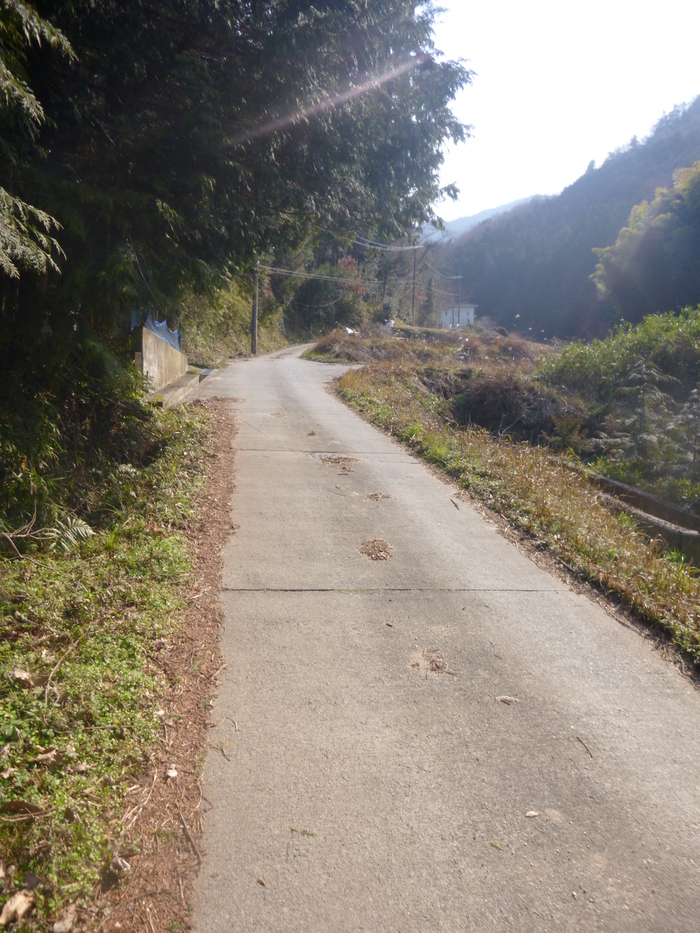 初めての峠・奈良県天理市　桜峠_e0253769_20391198.jpg