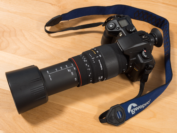 SIGMA APO 70-300mm F4-5.6 DG MACROも手放すことにしました。 : 写真