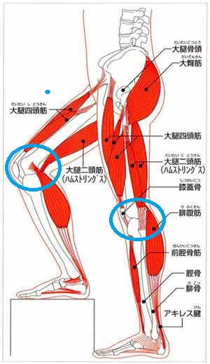 トリガーポイント ①_e0246398_7265718.jpg