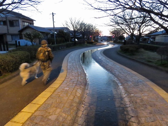 13日の金曜日 (^_^;)_c0049299_22115029.jpg