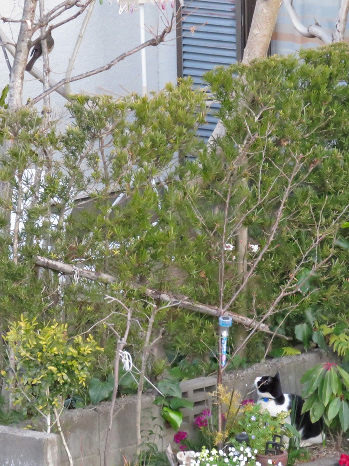 13日の金曜日 (^_^;)_c0049299_22131680.jpg