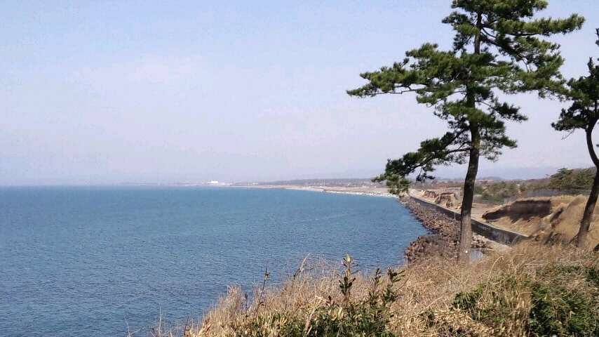 d0093903_8282979.jpg