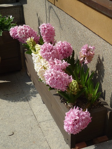 e0234004_20109.jpg