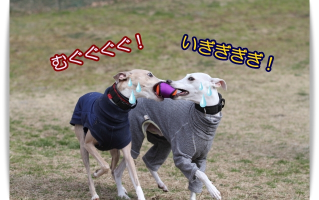 オモチャ狂～♪(；^∀^；)_e0100007_2153414.jpg