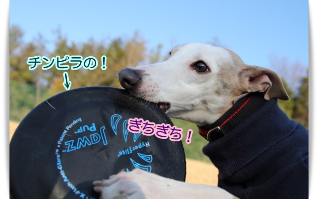 オモチャ狂～♪(；^∀^；)_e0100007_21541025.jpg