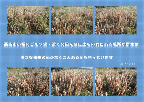 f0231709_964718.gif