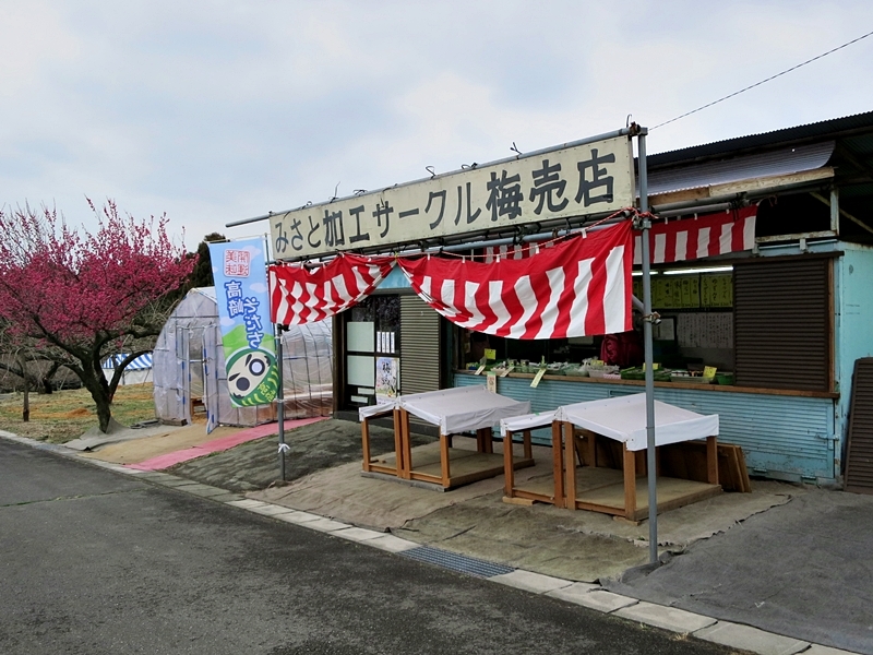 花暦氷本舗『焼きまんじゅう／コロ焼焼きまんじゅう』焼きまんじゅう３２２串目_a0243720_09082846.jpg