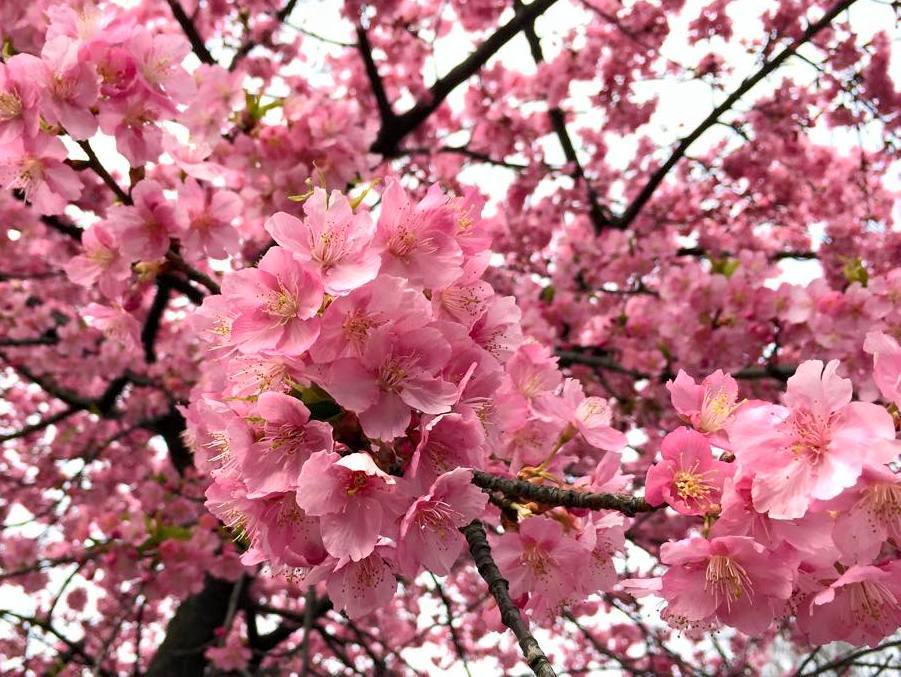春ラン@代々木公園_a0231828_23442048.jpg