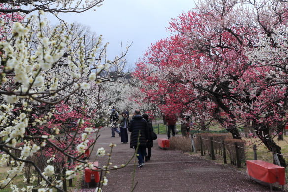 府中市郷土の森博物館その６_f0229832_9334580.jpg