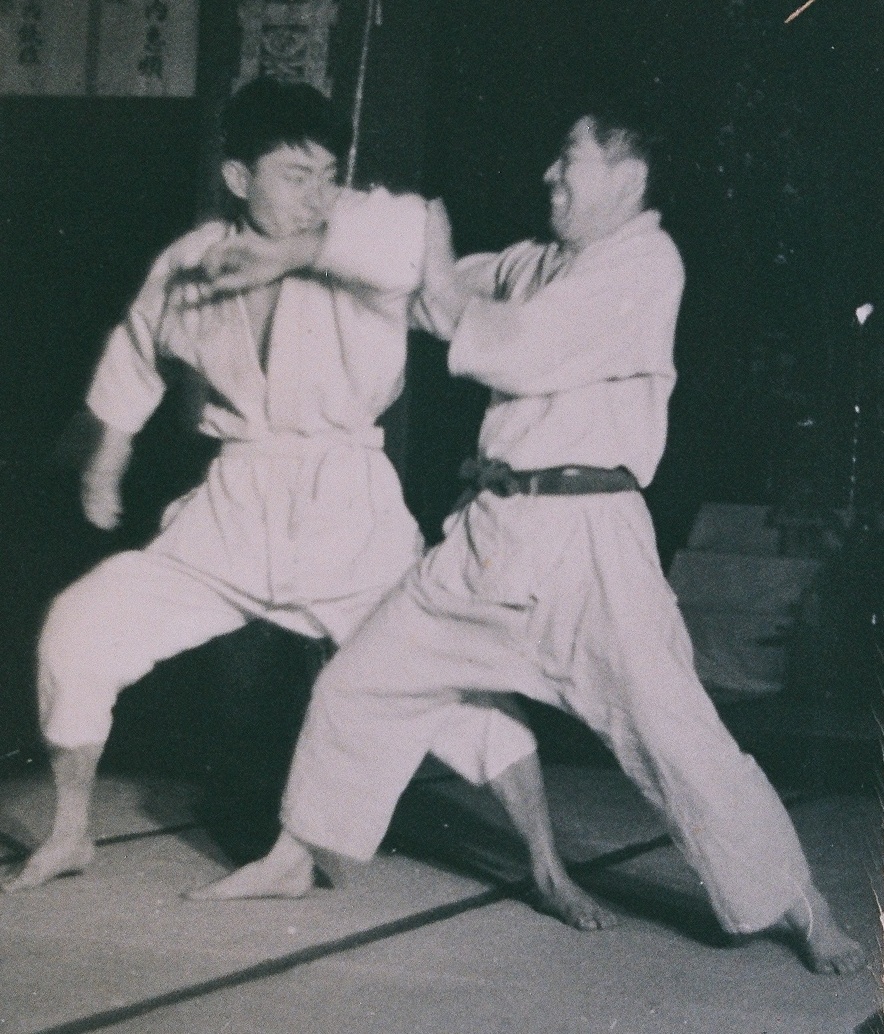 柳生志限流と八極拳_b0287744_20463158.jpg