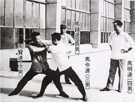 柳生志限流と八極拳_b0287744_2046523.jpg