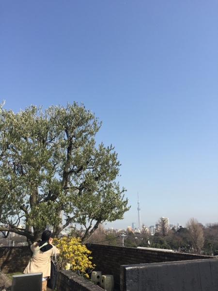 b0333658_14114445.jpeg