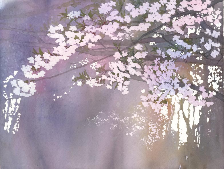 水彩画 桜 さくら 春 美術 アート インテリア 絵画 ホワイト