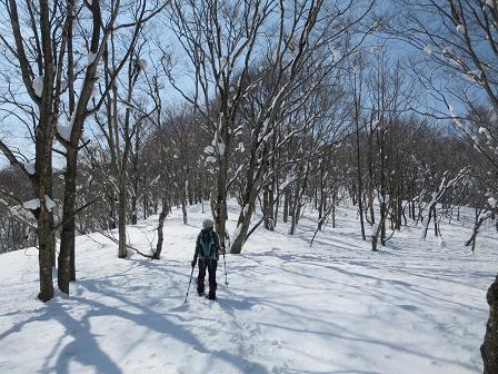 蛇原1158.9ｍ　　飛騨・神岡の静かなる山_f0302771_8384341.jpg