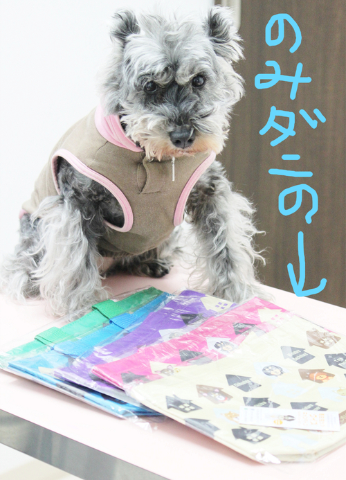 おまけのバッグ、とっても可愛いのです♡_c0245679_21272158.jpg