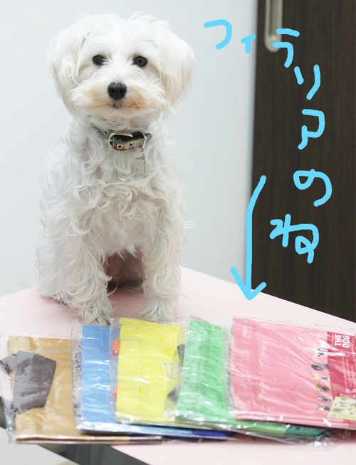 おまけのバッグ、とっても可愛いのです♡_c0245679_2128816.jpg