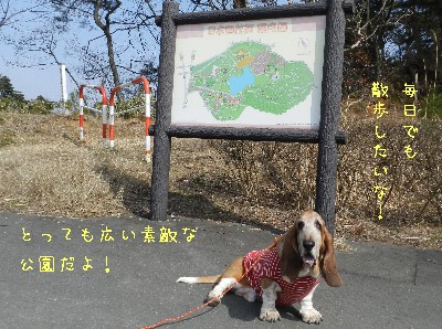 f0205887_12492822.jpg