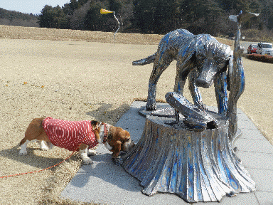 f0205887_12532159.gif